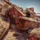 Image for article titled 30 Odes To The Humble Brick